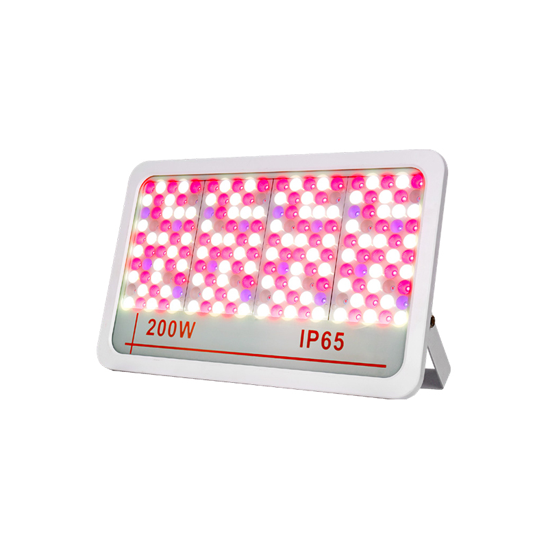 LED -tulvavalo