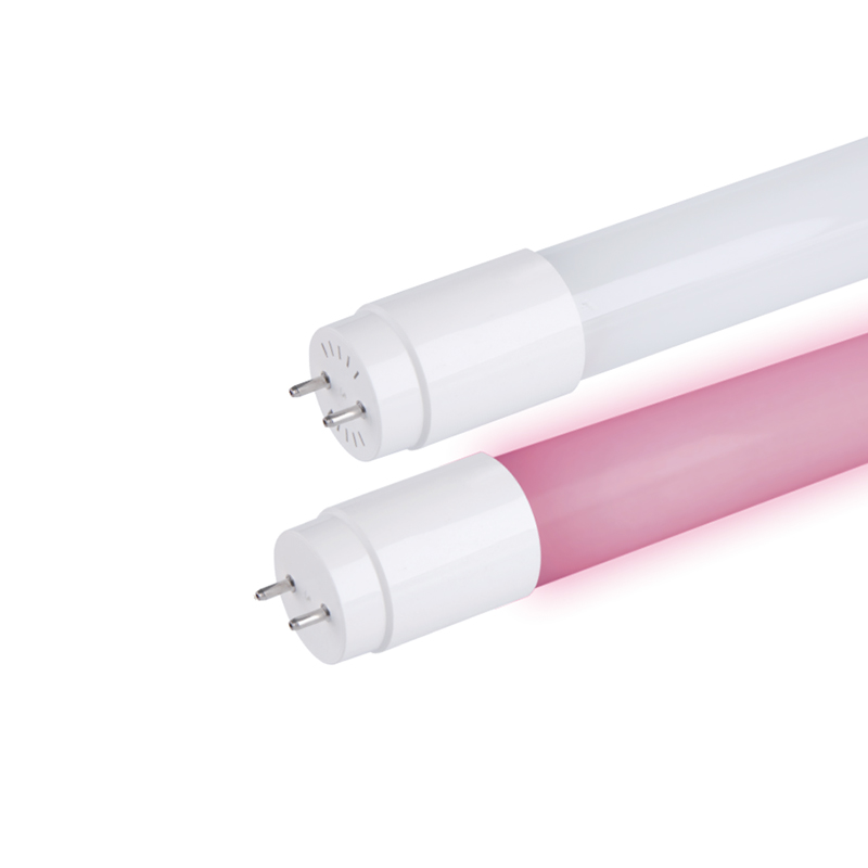 T8 Tuore ruokavalaistus LED -putki